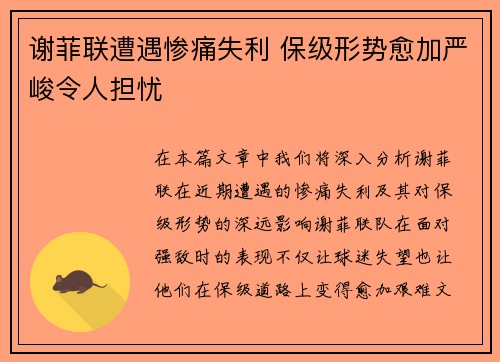 谢菲联遭遇惨痛失利 保级形势愈加严峻令人担忧